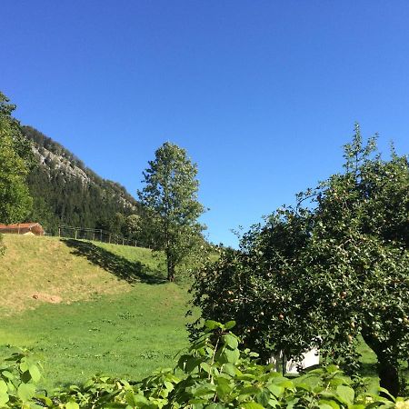 Ferienwohnungen Landinger Aschau im Chiemgau Luaran gambar