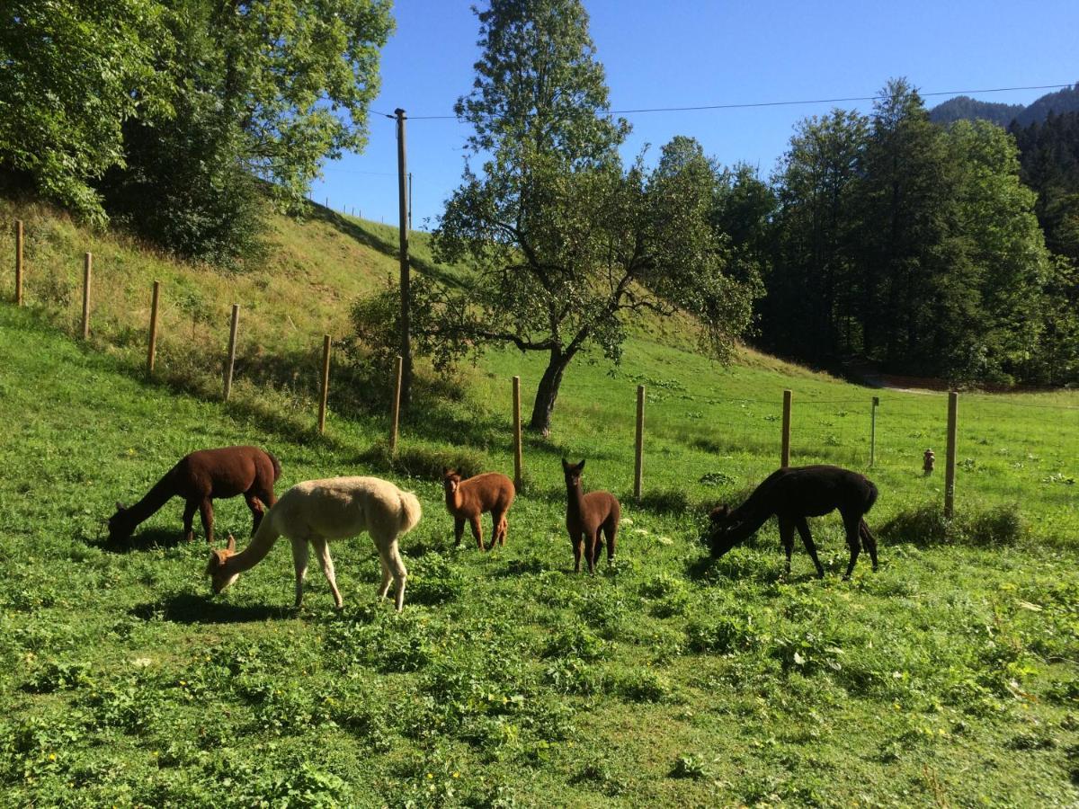 Ferienwohnungen Landinger Aschau im Chiemgau Luaran gambar